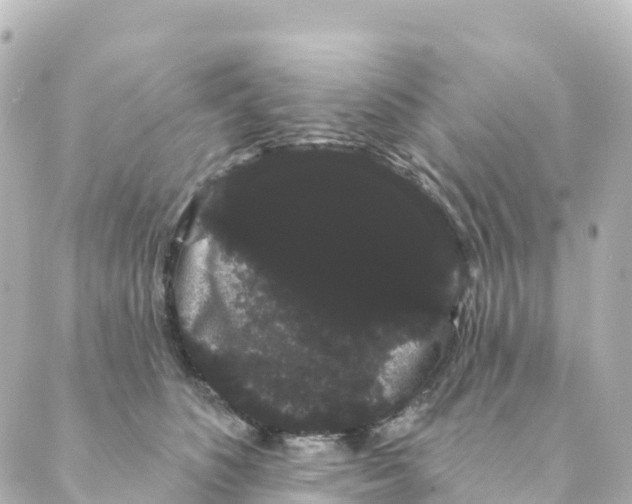 X0000088590516200706221344