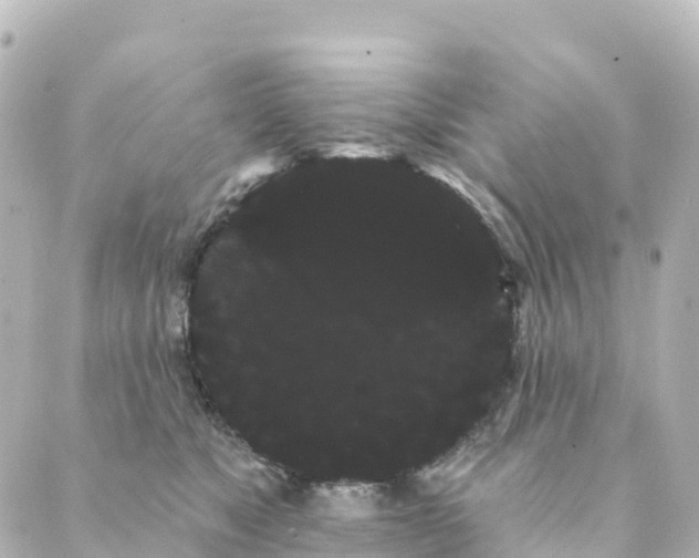 X0000088590517200706221344