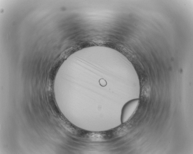 X0000088590518200706221344