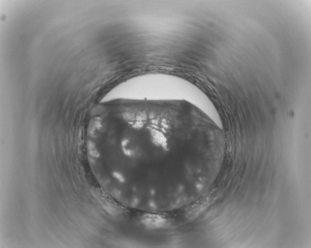 X0000088590519200706221344