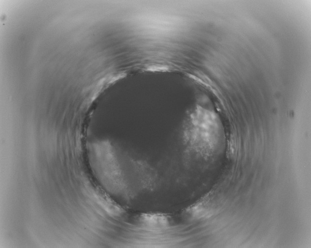 X0000088590520200706221344