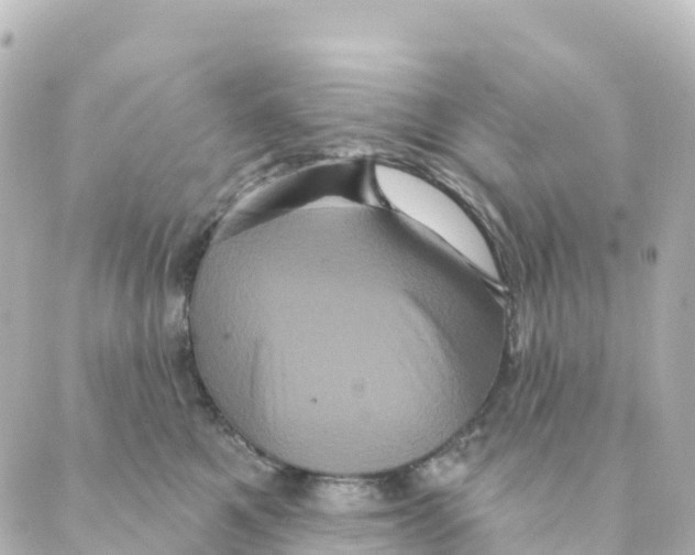 X0000088590521200706221344