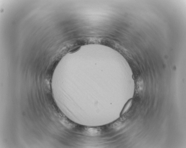 X0000088590522200706221344