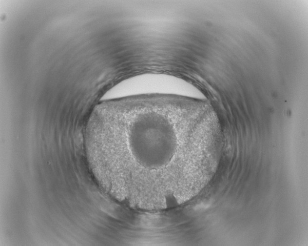 X0000088590523200706221344