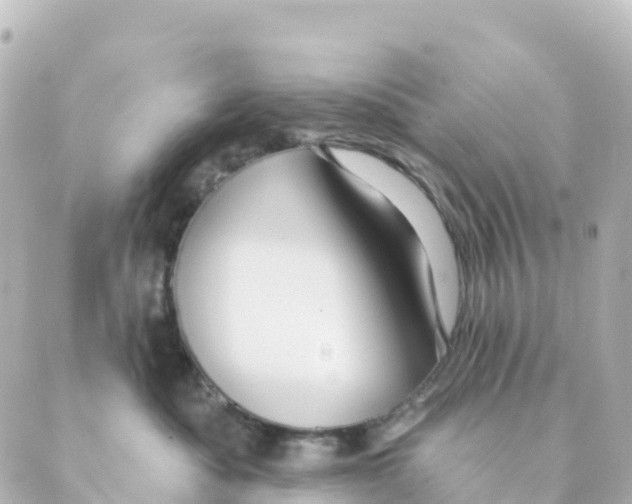 X0000088590525200706221344