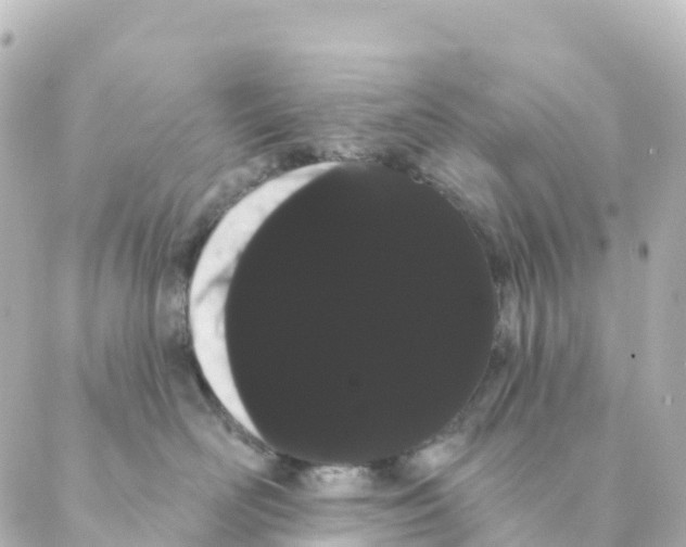 X0000088590526200706221344