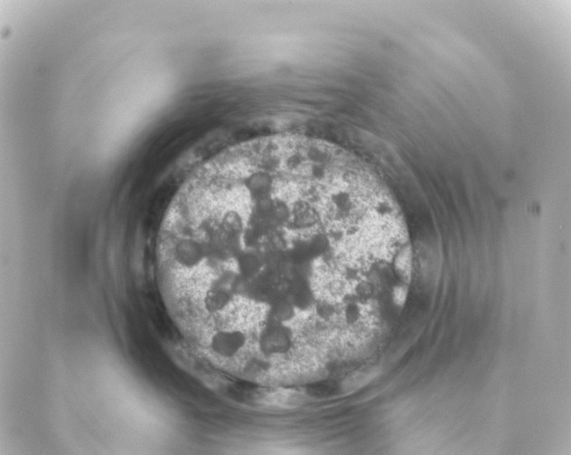 X0000088590527200706221344