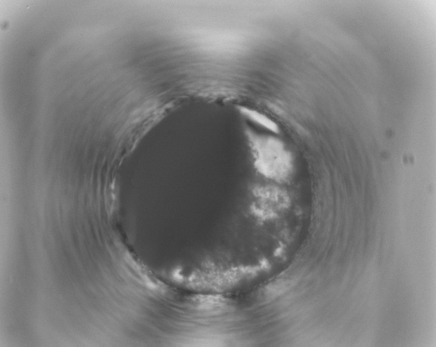 X0000088590528200706221344