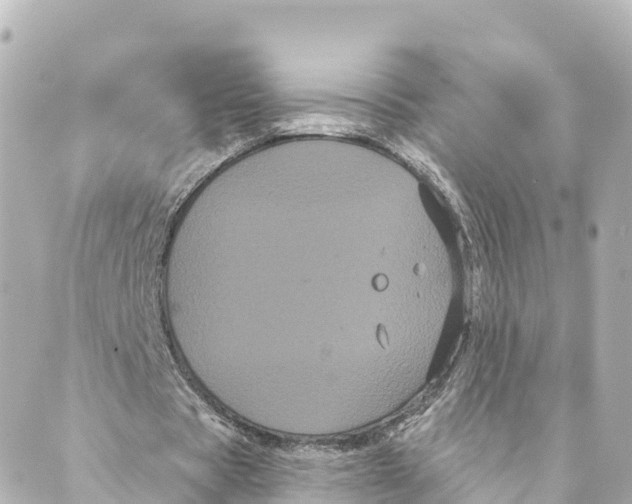 X0000088590529200706221343