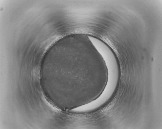 X0000088590530200706221343