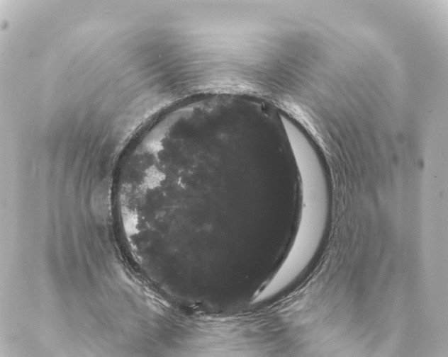 X0000088590531200706221343