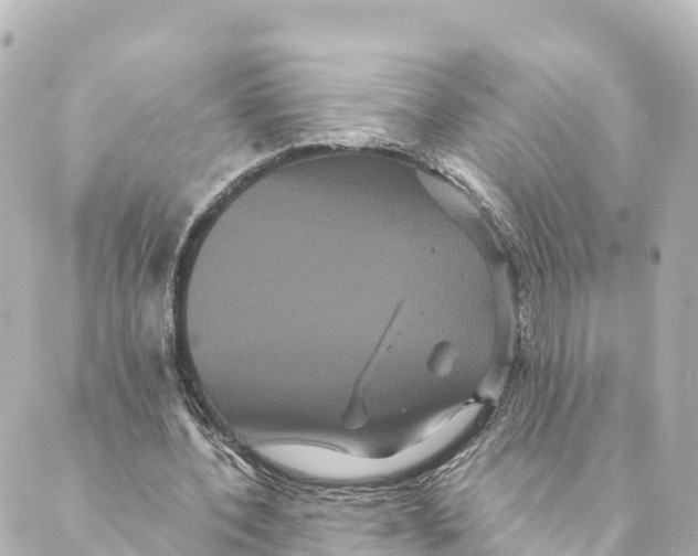 X0000088590532200706221343