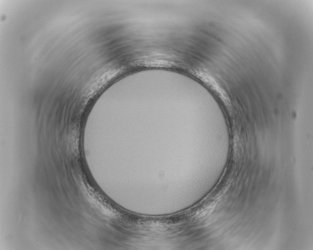 X0000088590533200706221343