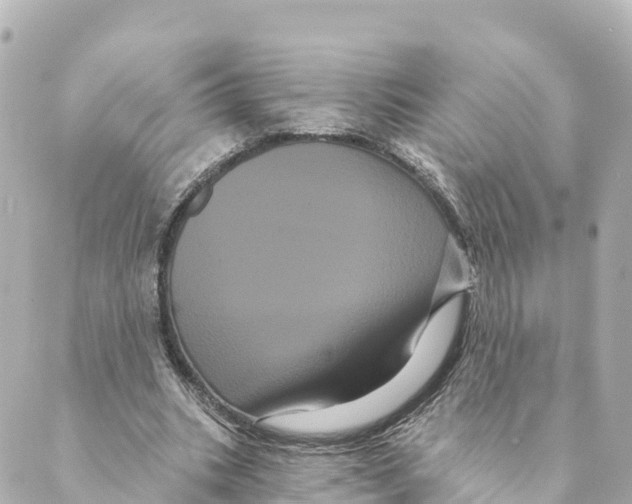 X0000088590535200706221343