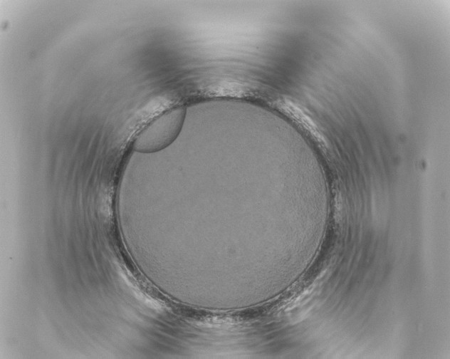 X0000088590537200706221343