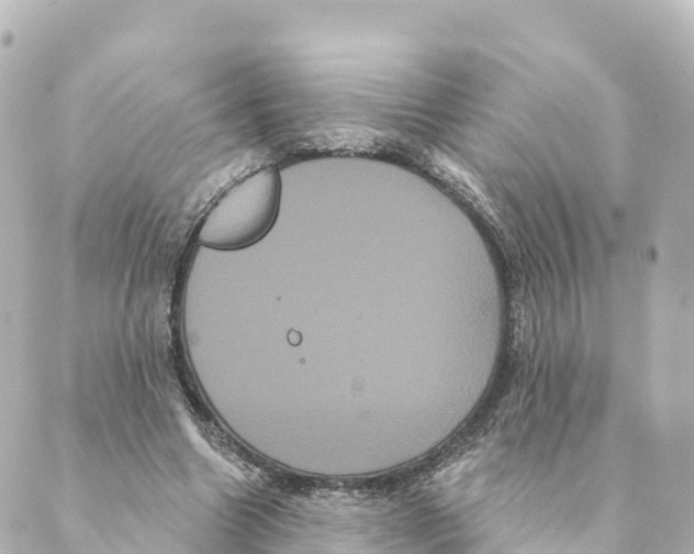 X0000088590538200706221343