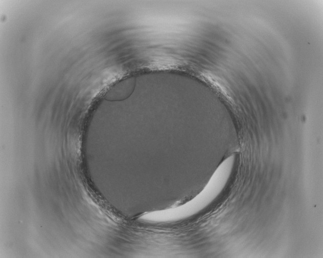 X0000088590539200706221343