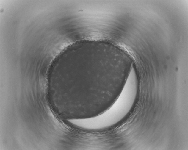 X0000088590540200706221343