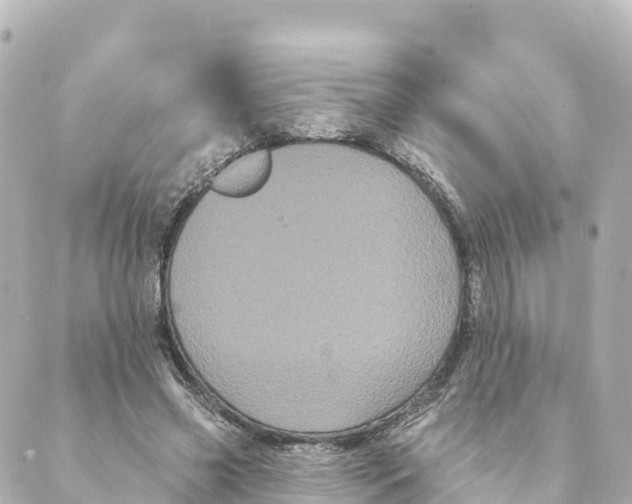 X0000088590541200706221343