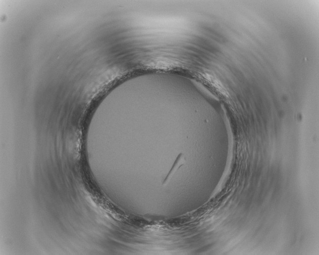 X0000088590544200706221343