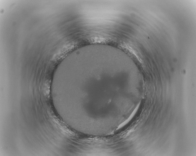 X0000088590545200706221343