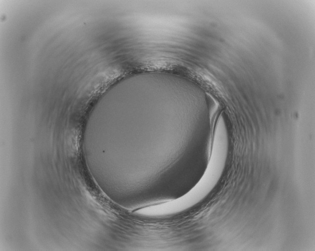 X0000088590546200706221343