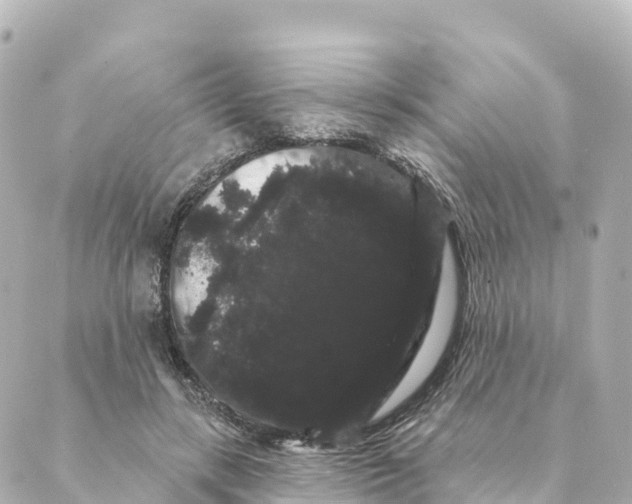 X0000088590547200706221343