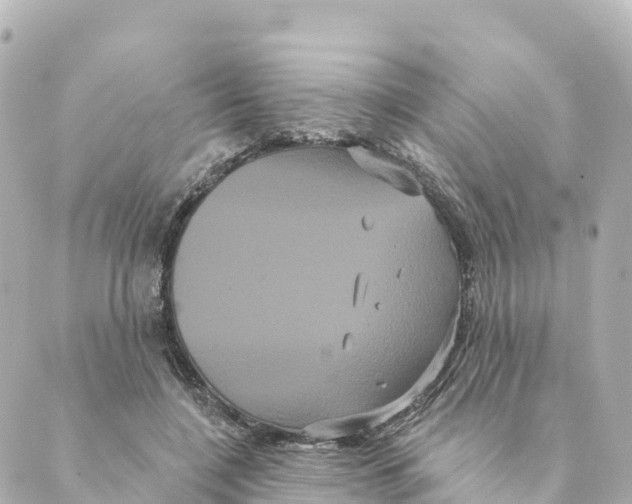 X0000088590548200706221343