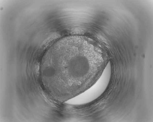 X0000088590550200706221343