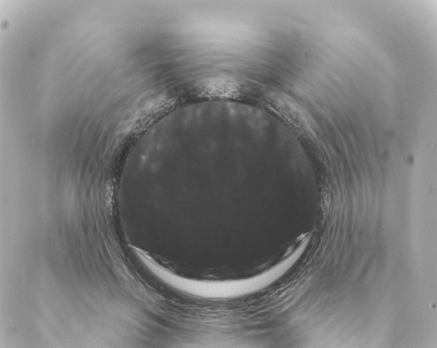 X0000088590551200706221343