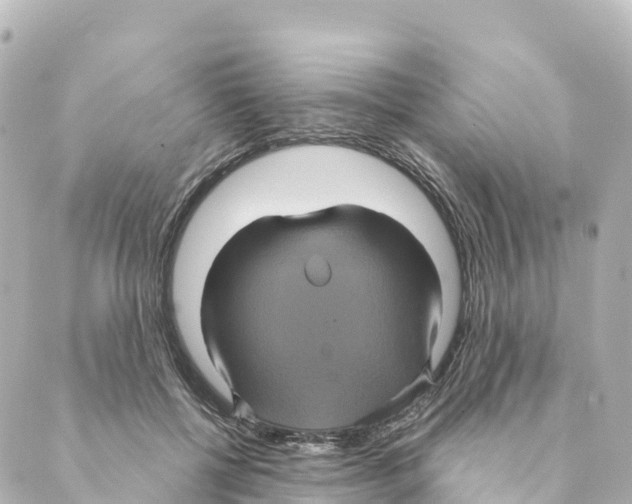 X0000088590552200706221344