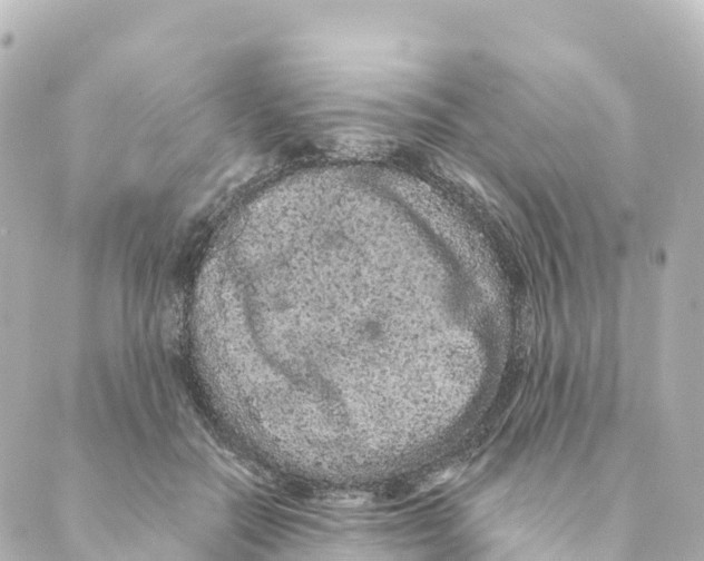 X0000088590554200706221344