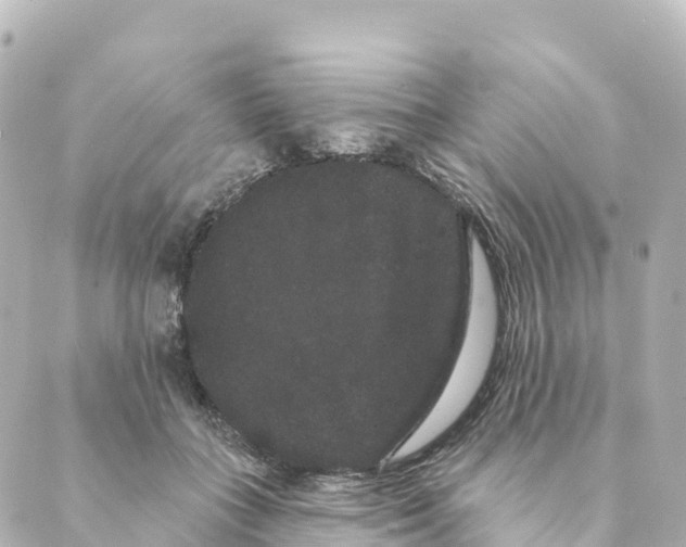 X0000088590555200706221344