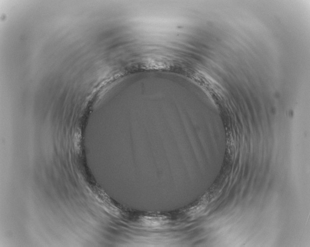 X0000088590556200706221344