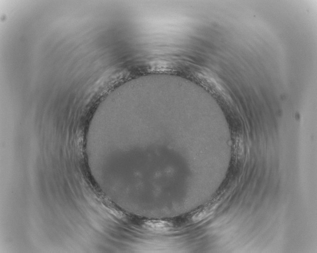 X0000088590557200706221344