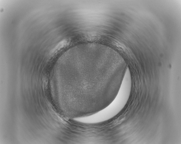 X0000088590558200706221344