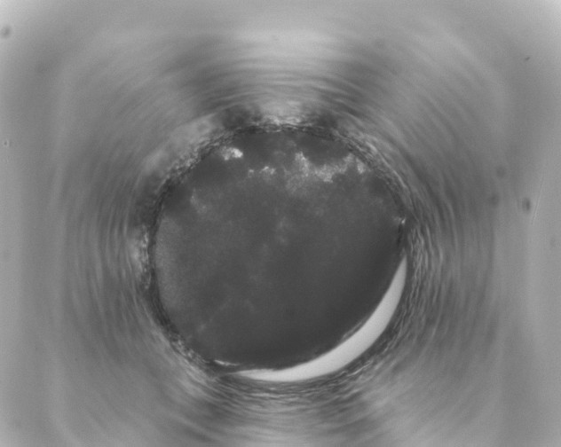 X0000088590559200706221344