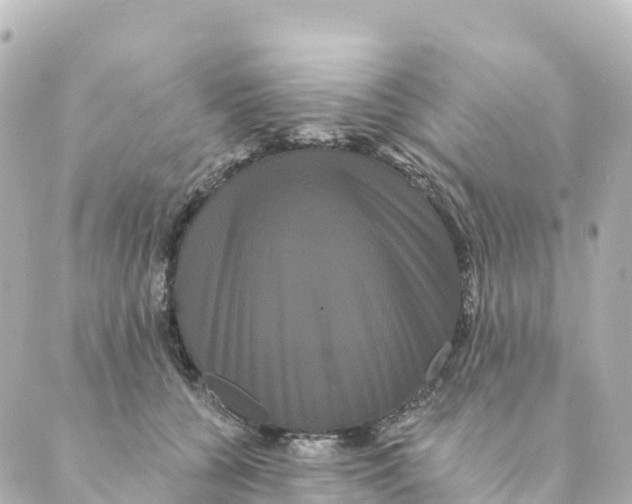 X0000088590560200706221344