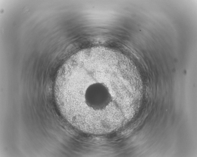 X0000088590561200706221344