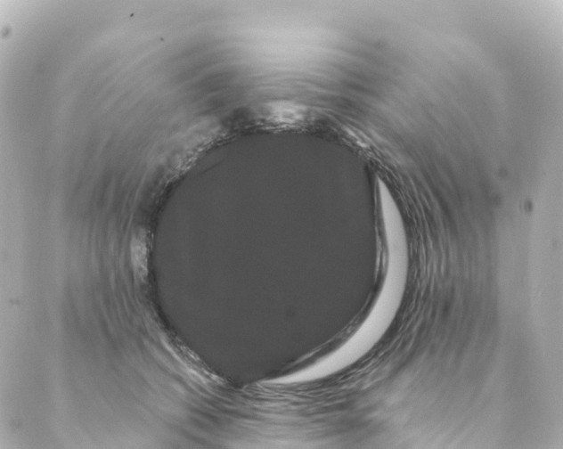 X0000088590562200706221344