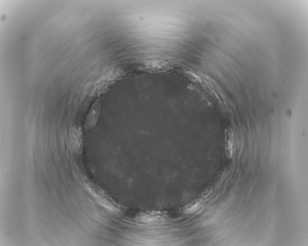 X0000088590563200706221344