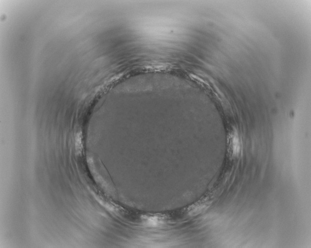 X0000088590564200706221344