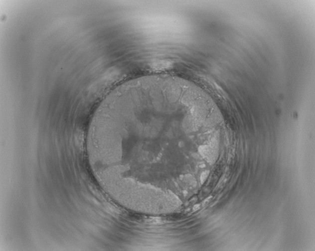 X0000088590565200706221344