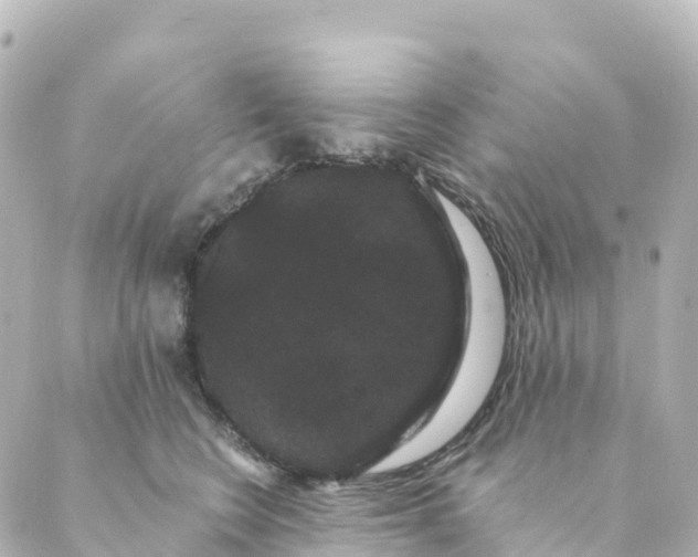 X0000088590566200706221344