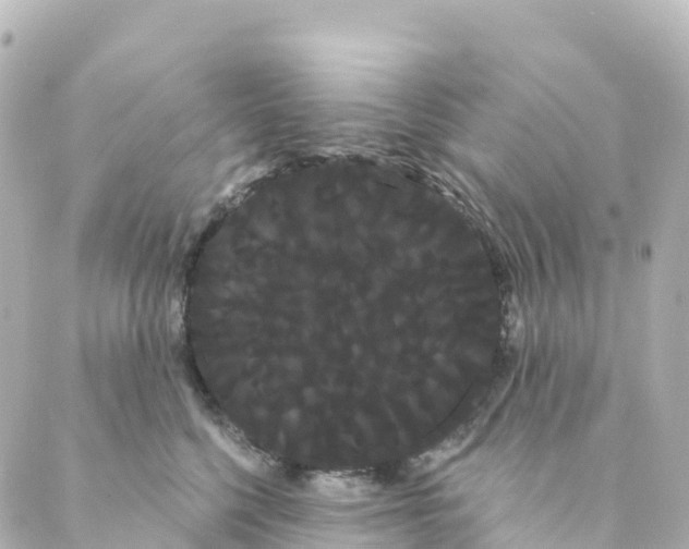 X0000088590568200706221344