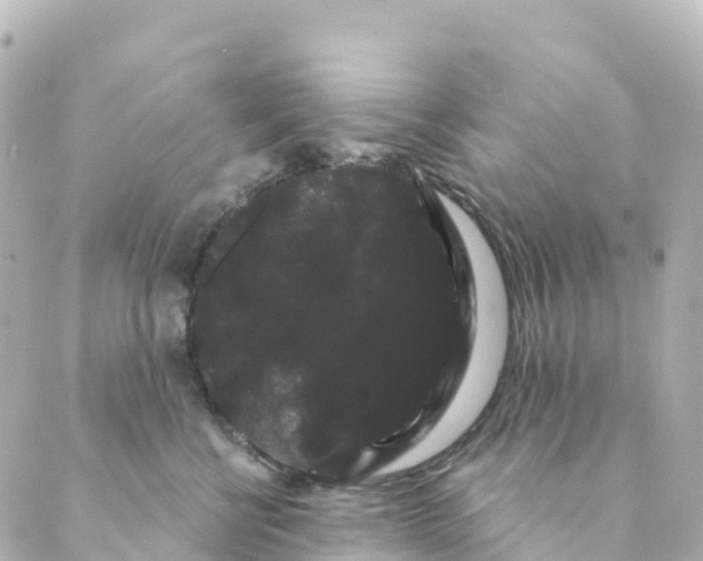 X0000088590570200706221344