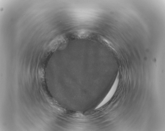 X0000088590571200706221344