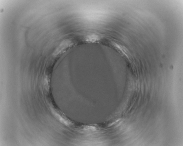 X0000088590572200706221344