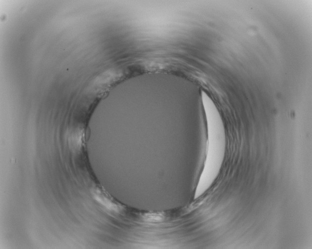 X0000088590574200706221344