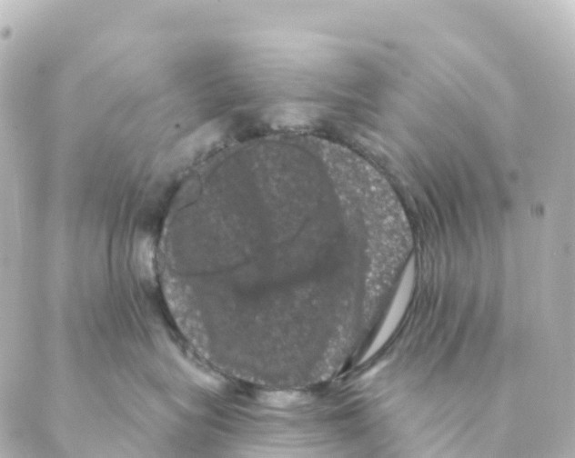 X0000088590575200706221344